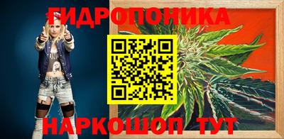 индика Северобайкальск