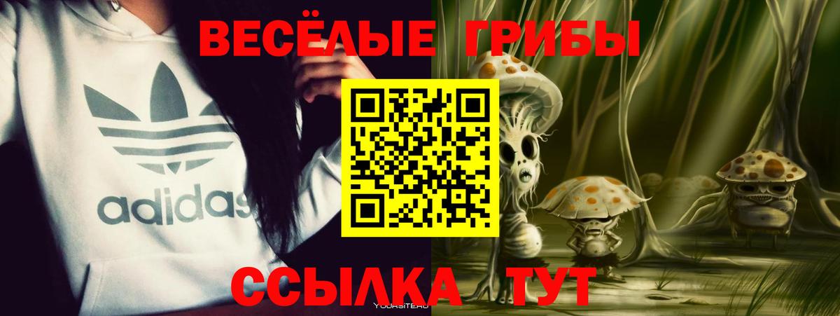 Галлюциногенные грибы Psilocybine cubensis  Псилоцибиновые грибы мухоморы  где купить наркоту  Вход с VPN  Сергиев Посад 